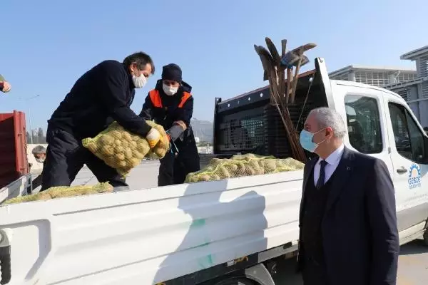 Gebze Belediyesi 25 ton patatesi dağıtmaya başladı Gebze Belediyesi 25 ton patatesi dağıtmaya başladı