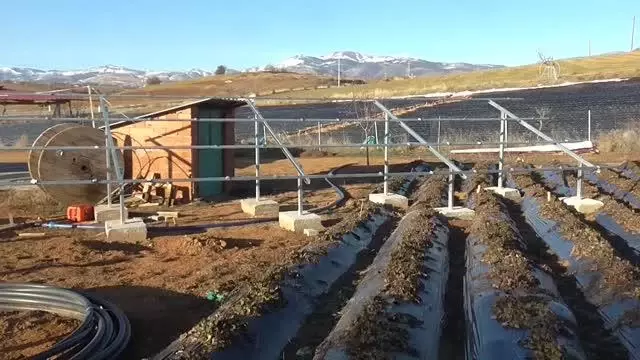 Güneş paneli çalınan çiftçiler tarlalarda nöbet tutuyor Güneş paneli çalınan çiftçiler tarlalarda nöbet tutuyor