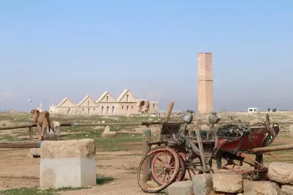 Harran'ın konik kubbeli evleri, özelliğiyle dikkat çekiyor Harran'ın konik kubbeli evleri, özelliğiyle dikkat çekiyor