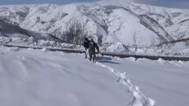 Kanatlı hayvanlar için doğaya yem bırakıldı Kanatlı hayvanlar için doğaya yem bırakıldı