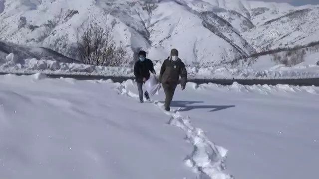 Kanatlı hayvanlar için doğaya yem bırakıldı Kanatlı hayvanlar için doğaya yem bırakıldı
