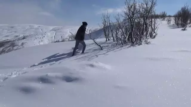 Kanatlı hayvanlar için doğaya yem bırakıldı Kanatlı hayvanlar için doğaya yem bırakıldı