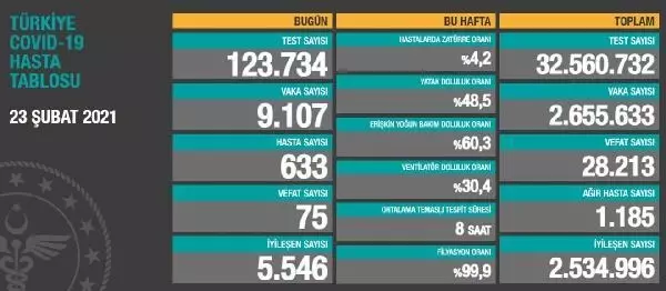 Koronavirüs salgınında can kaybı 28 bin 213'e yükseldi Koronavirüs salgınında can kaybı 28 bin 213'e yükseldi