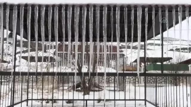 Soğuk hava etkili oluyor Soğuk hava etkili oluyor