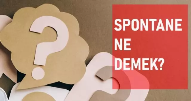 Spontane ne demek? Spontane anlamı ne? Spontane ne demek? Spontane anlamı ne?