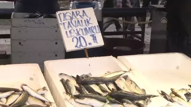 Uzun bir sürenin ardından tezgahları süsleyen taze hamsi kısa sürede tükendi Uzun bir sürenin ardından tezgahları süsleyen taze hamsi kısa sürede tükendi