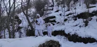 Son dakika: Bitlis ve Siirt'te 'Eren-11 Sehi Ormanları' operasyonu başlatıldı