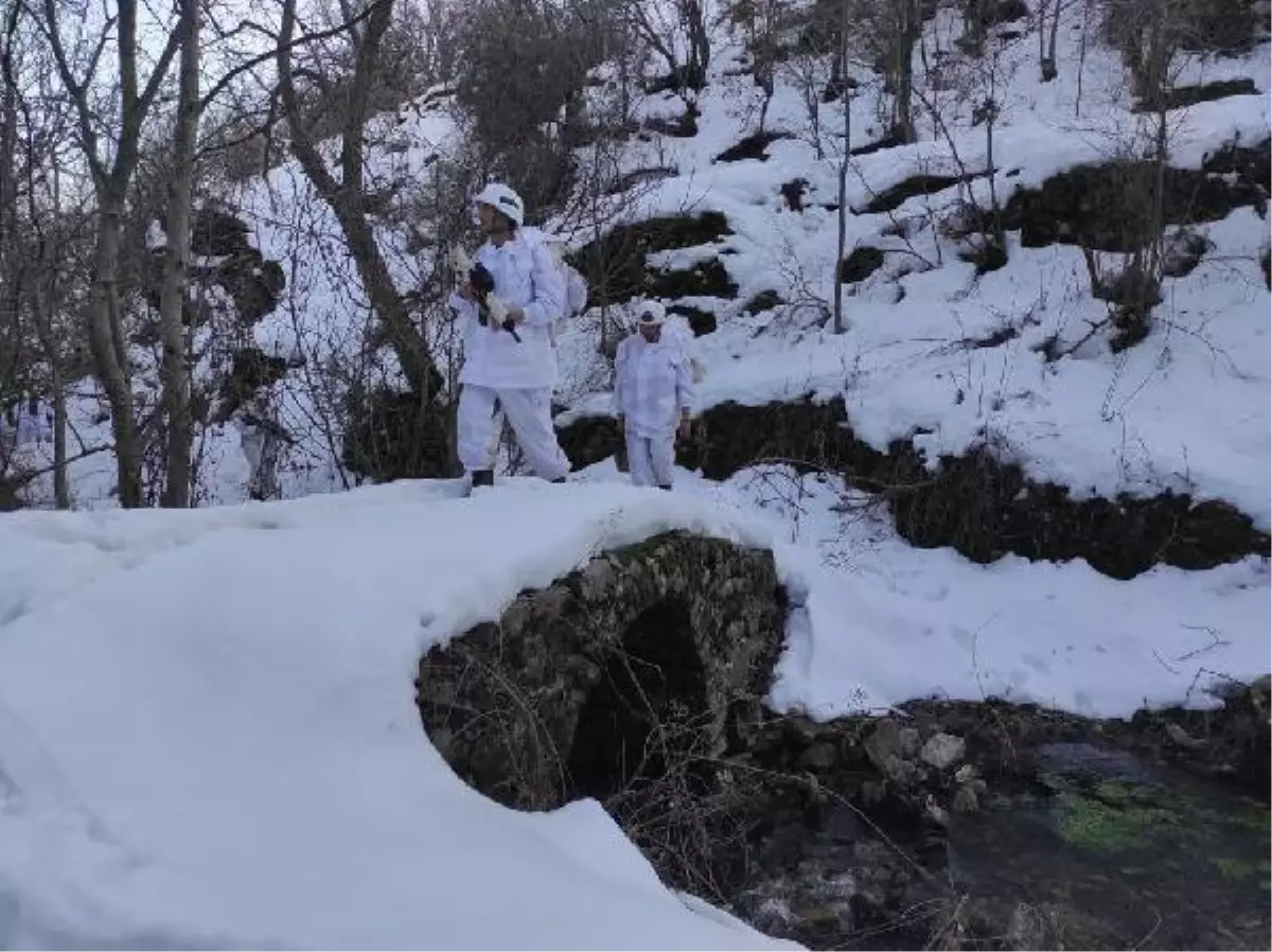 Son dakika: Bitlis ve Siirt'te 'Eren-11 Sehi Ormanları' operasyonu başlatıldı