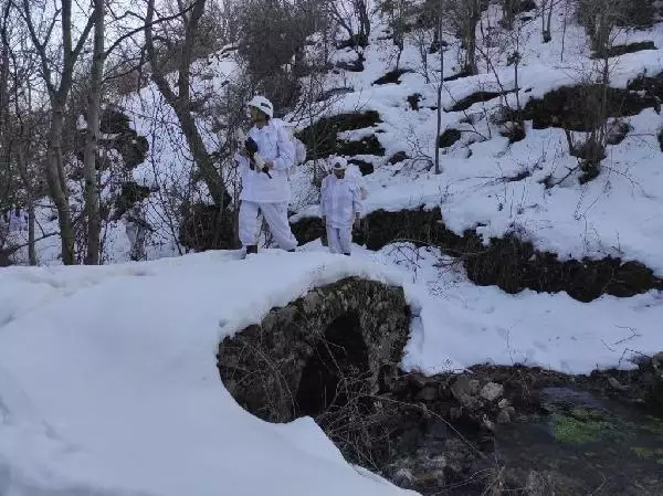 Son dakika: Bitlis ve Siirt'te 'Eren-11 Sehi Ormanları' operasyonu başlatıldı Son dakika: Bitlis ve Siirt'te 'Eren-11 Sehi Ormanları' operasyonu başlatıldı