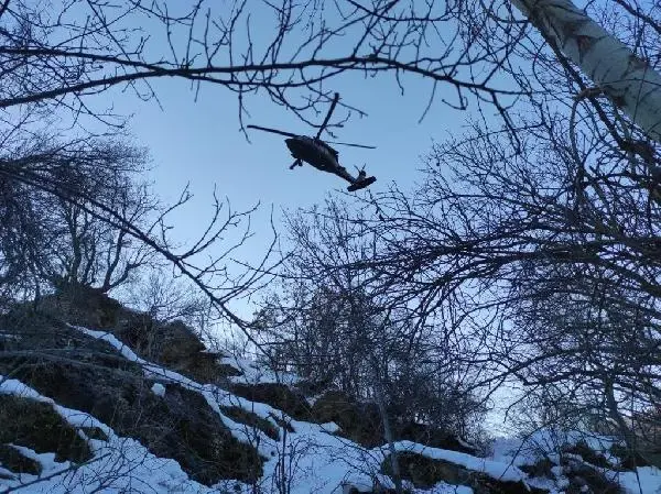 Son dakika: Bitlis ve Siirt'te 'Eren-11 Sehi Ormanları' operasyonu başlatıldı Son dakika: Bitlis ve Siirt'te 'Eren-11 Sehi Ormanları' operasyonu başlatıldı