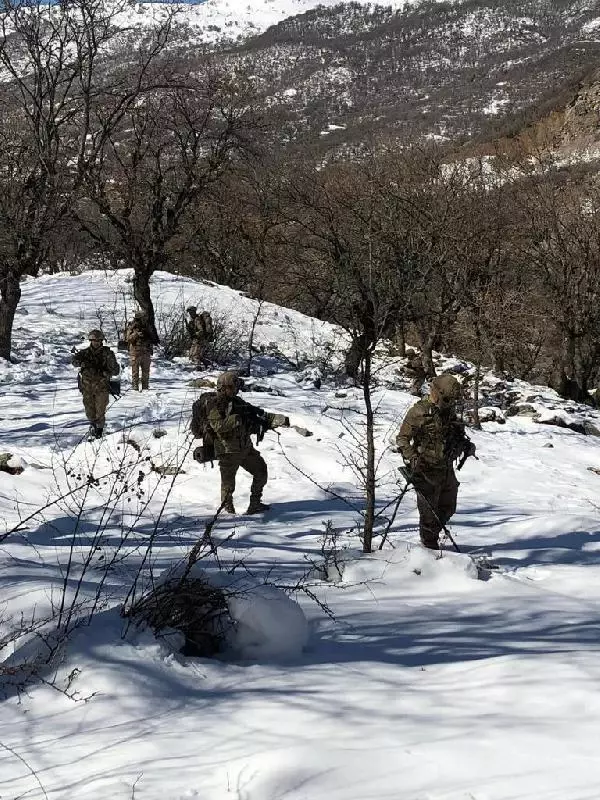 Son dakika: Bitlis ve Siirt'te 'Eren-11 Sehi Ormanları' operasyonu başlatıldı Son dakika: Bitlis ve Siirt'te 'Eren-11 Sehi Ormanları' operasyonu başlatıldı