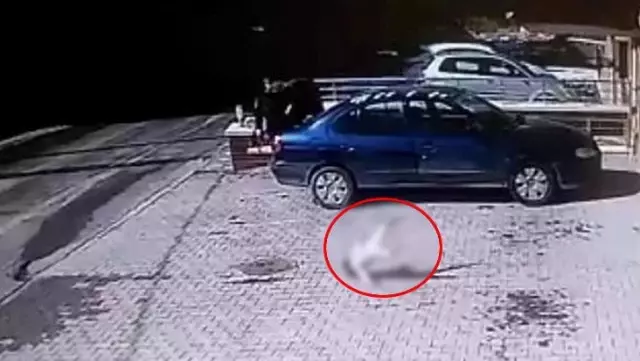 Görenler ilk önce oyuncak bebek sandı! 4'üncü kattan düşen Beyzanur, yaşam mücadelesi veriyor Görenler ilk önce oyuncak bebek sandı! 4'üncü kattan düşen Beyzanur, yaşam mücadelesi veriyor