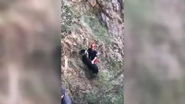 KAHRAMANMARAŞ - Kayalıklarda mahsur kalan keçi kurtarıldı KAHRAMANMARAŞ - Kayalıklarda mahsur kalan keçi kurtarıldı