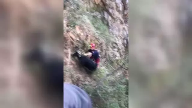 KAHRAMANMARAŞ - Kayalıklarda mahsur kalan keçi kurtarıldı KAHRAMANMARAŞ - Kayalıklarda mahsur kalan keçi kurtarıldı