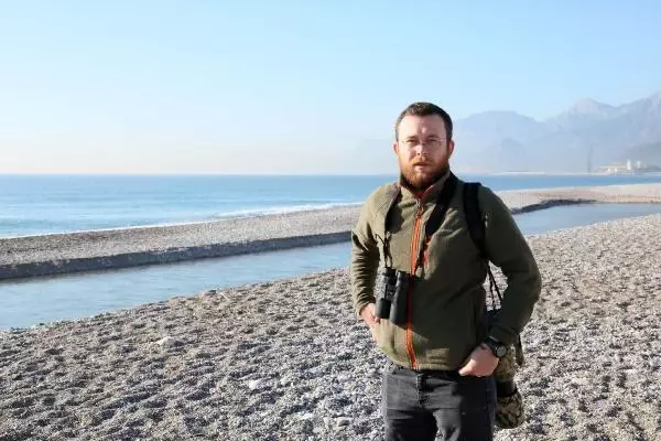 Kuzey ülkelerinin kuşu tarakdiş, Konyaaltı sahilinde görüntülendi Kuzey ülkelerinin kuşu tarakdiş, Konyaaltı sahilinde görüntülendi
