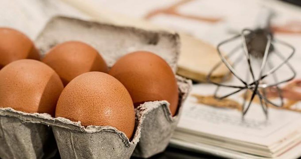 Mavi yumurta daha mı faydalı? Yumurta renkleri neden farklı?