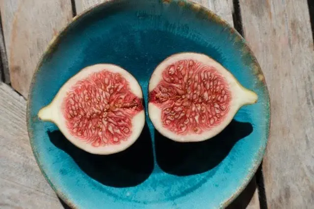 Rüyada incir görmek ne anlama geliyor? Rüyada incir yemek, incir ağacı görmek, incir reçeli yemek ne demek? Rüyada incir görmek ne anlama geliyor? Rüyada incir yemek, incir ağacı görmek, incir reçeli yemek ne demek?