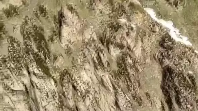 İçişleri Bakanlığınca 'Eren-11 Sehi Ormanları Operasyonu' başlatıldı İçişleri Bakanlığınca 'Eren-11 Sehi Ormanları Operasyonu' başlatıldı