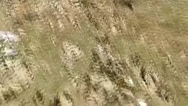 İçişleri Bakanlığınca 'Eren-11 Sehi Ormanları Operasyonu' başlatıldı İçişleri Bakanlığınca 'Eren-11 Sehi Ormanları Operasyonu' başlatıldı