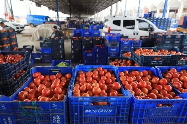 Antalya'dan dünyaya meyve ve sebze ihracı