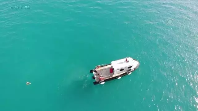 Bodrum'da dalgıçların yaptığı deniz dibi temizliğinde yarım ton atık toplandı Bodrum'da dalgıçların yaptığı deniz dibi temizliğinde yarım ton atık toplandı