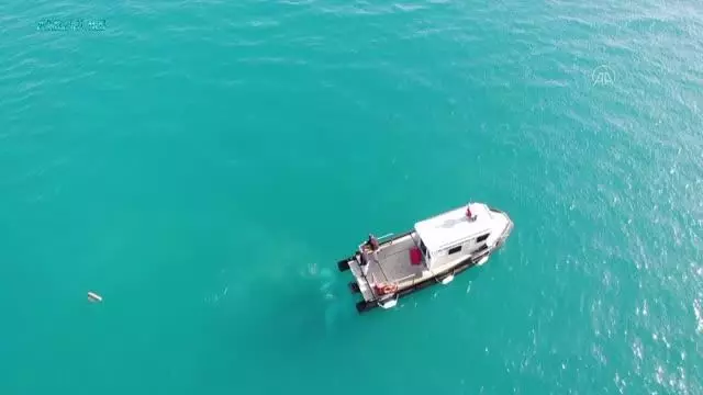 Bodrum'da dalgıçların yaptığı deniz dibi temizliğinde yarım ton atık toplandı Bodrum'da dalgıçların yaptığı deniz dibi temizliğinde yarım ton atık toplandı
