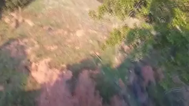 Dağda mahsur kalan keçiyi itfaiye kurtardı Dağda mahsur kalan keçiyi itfaiye kurtardı