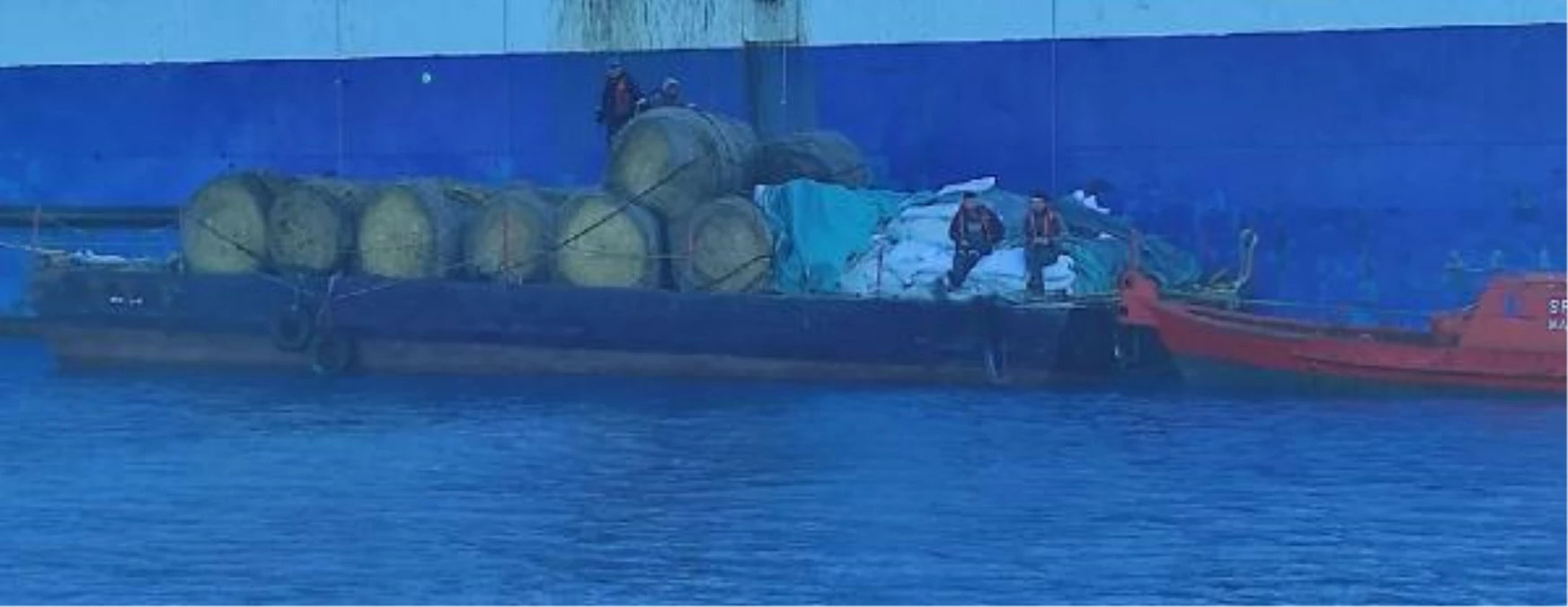 Πλοίο με σημαία του Κονγκό φορτωμένο με άρρωστα ζώα προκαλεί πανικό στην Κύπρο