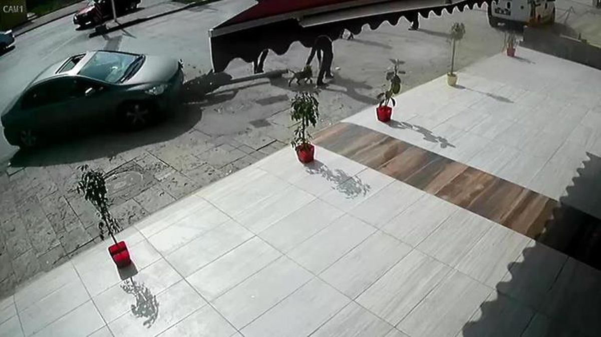 Kadın sürücü fren yerine gaza bastı, 3 kişiye çarptı! O anlar kamerada