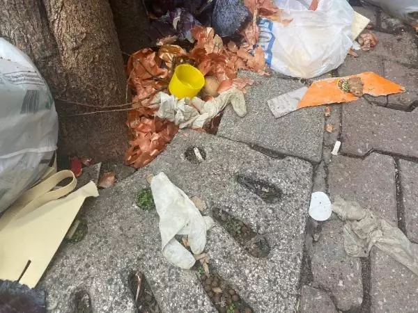 Son dakika haber: Maltepe'deki çöp yığınlarındaki tıbbi atıklarda koronavirüs uyarısı... Son dakika haber: Maltepe'deki çöp yığınlarındaki tıbbi atıklarda koronavirüs uyarısı...