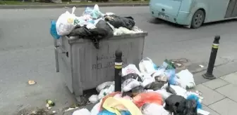 Son dakika haber: Maltepe'deki çöp yığınlarındaki tıbbi atıklarda koronavirüs uyarısı...