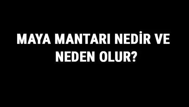 Maya Mantarı Nedir, Neden Oluşur ve Nasıl Ürer? Maya Mantarı Özellikleri Hakkında Bilgi Maya Mantarı Nedir, Neden Oluşur ve Nasıl Ürer? Maya Mantarı Özellikleri Hakkında Bilgi