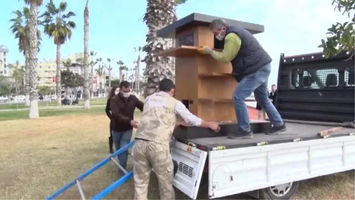 Mersin Belediyesi tarafından kedilere terası suni çimli evler yaptırıldı