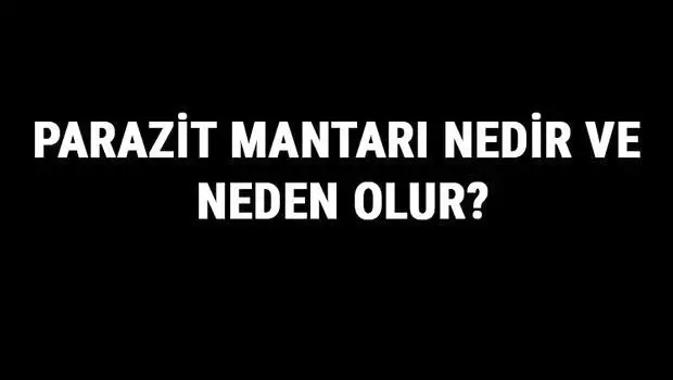 Parazit Mantarı Nedir ve Neden Olur? Parazit Mantarı Nasıl Geçer ve Ne İyi Gelir? Parazit Mantarı Nedir ve Neden Olur? Parazit Mantarı Nasıl Geçer ve Ne İyi Gelir?