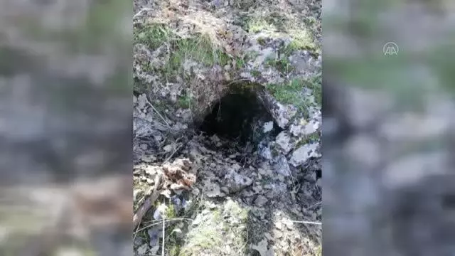 PKK'lı teröristlerin kullandığı 8 sığınak ve depo kullanılamaz hale getirildi PKK'lı teröristlerin kullandığı 8 sığınak ve depo kullanılamaz hale getirildi
