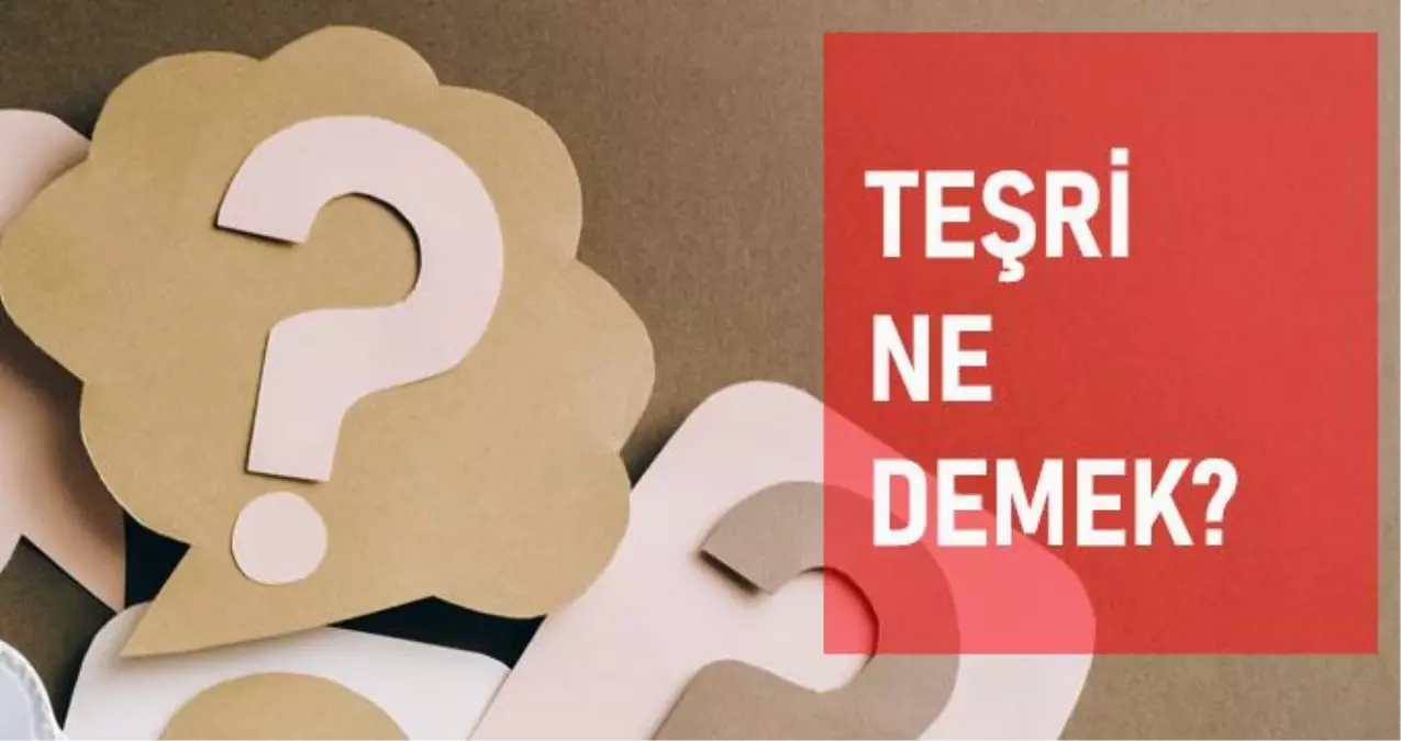 Teşri ne demek? Teşri anlamı ne?
