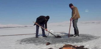 Yüzeyi buz kaplanan Nazik Gölü'nde balık avı
