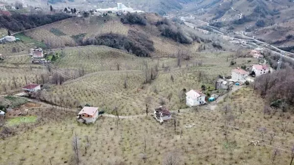 Cenazede 22 kişiye virüs bulaştırdı; mahalle ikinci kez karantinaya alındı (2) Cenazede 22 kişiye virüs bulaştırdı; mahalle ikinci kez karantinaya alındı (2)