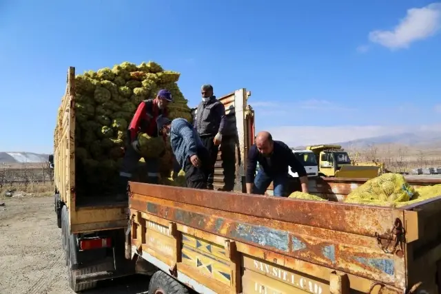 Develi'de ihtiyaç sahiplerine patates dağıtımına başlandı Develi'de ihtiyaç sahiplerine patates dağıtımına başlandı