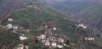 Karadeniz'de kısıtlamada, uyarılara rağmen yine köylere çıkıyorlar