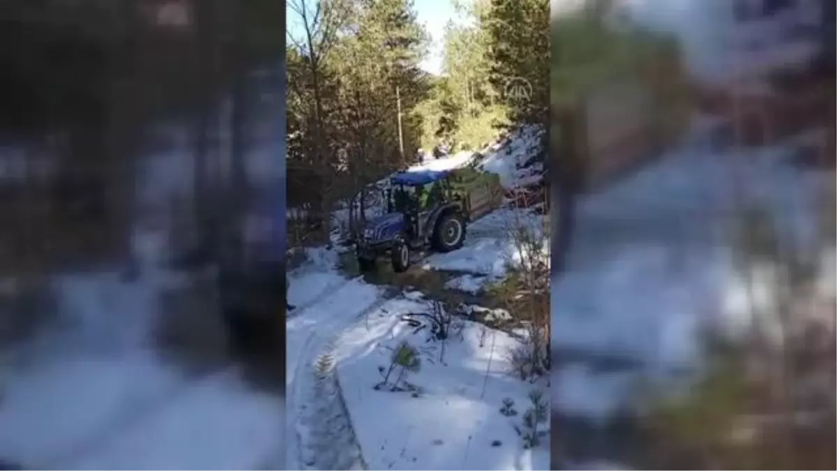 Yaban hayvanları için doğaya 5 ton yem bırakıldı