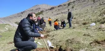 Derik'te, şehit Kaymakam Safitürk anısına 3 bin tohum