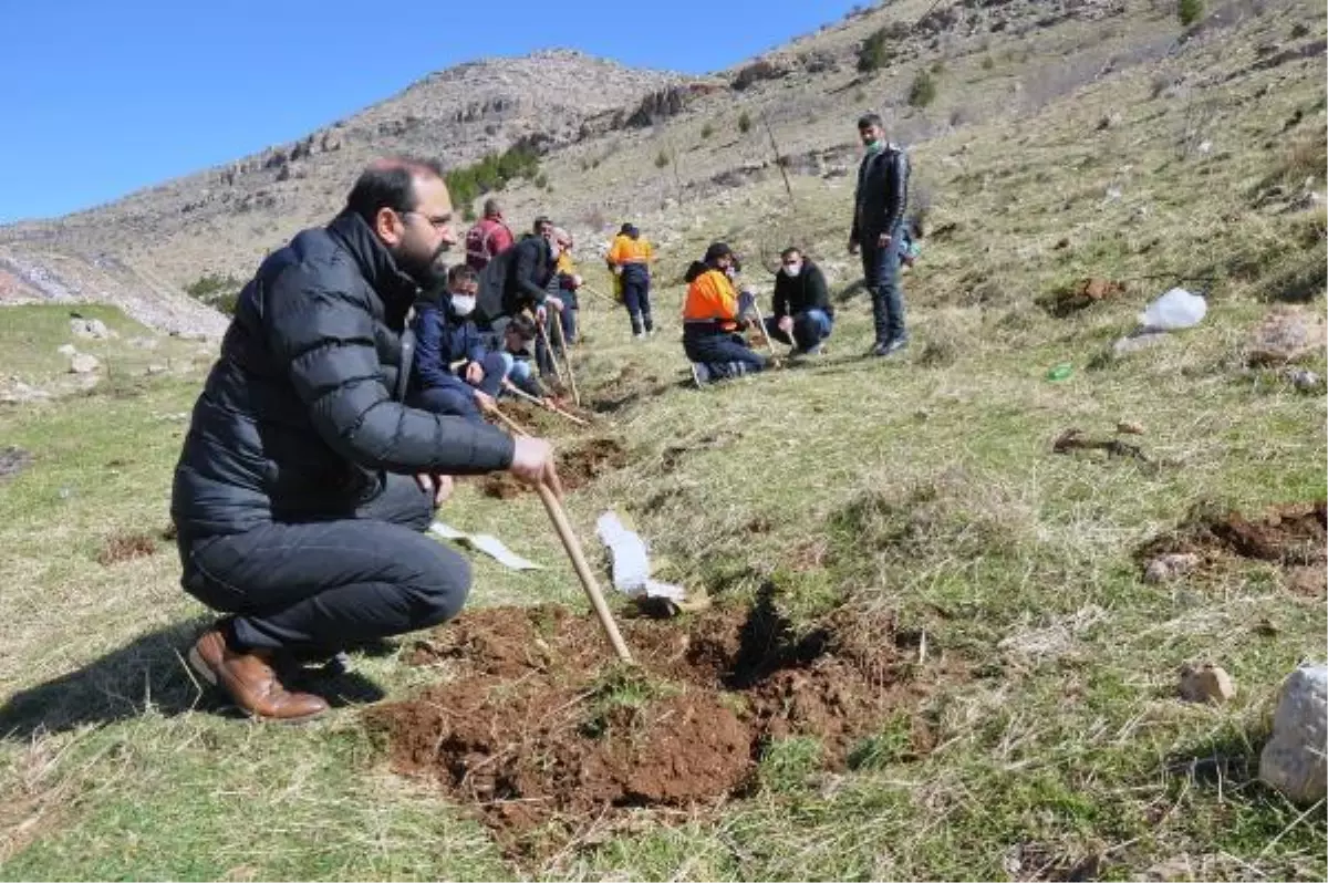 Derik'te, şehit Kaymakam Safitürk anısına 3 bin tohum
