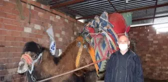 Son dakika... Güreş devesi sahipleri: Seyircisiz de olsa yılda bir kez güreşler yapılsın