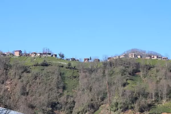 Karadeniz köylerinde kısıtlama hareketliliği