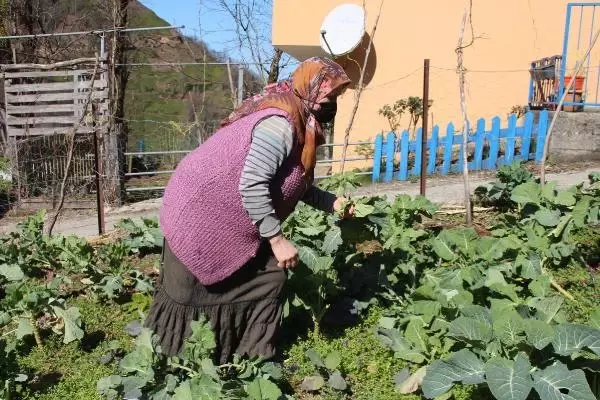 Karadeniz köylerinde kısıtlama hareketliliği