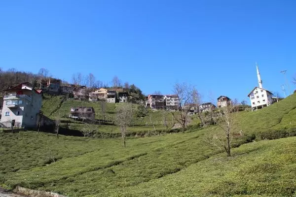 Karadeniz köylerinde kısıtlama hareketliliği