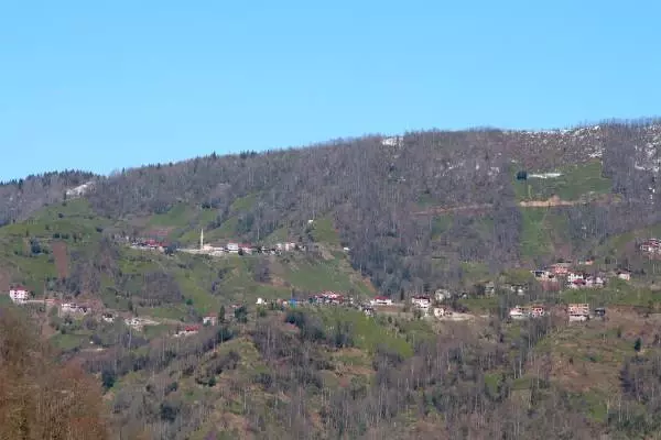 Karadeniz köylerinde kısıtlama hareketliliği