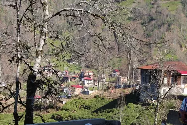 Karadeniz köylerinde kısıtlama hareketliliği