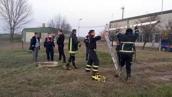 Son dakika haberi! Kullanılamayan fabrikanın bahçesindeki foseptiğe düşen bekçi öldü Son dakika haberi! Kullanılamayan fabrikanın bahçesindeki foseptiğe düşen bekçi öldü